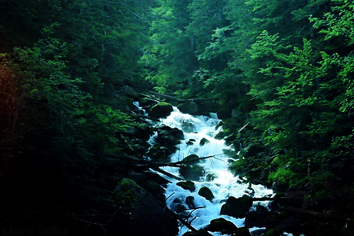 氧吧圣地