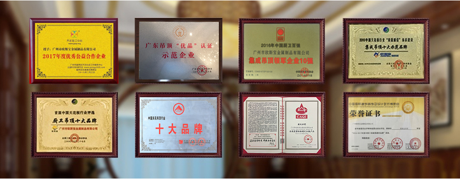 辉煌历程