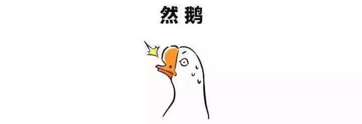 然鹅