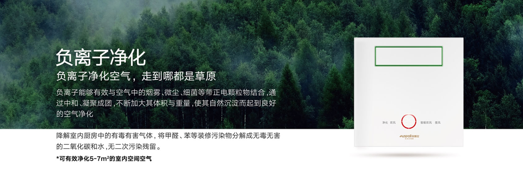 负离子净化