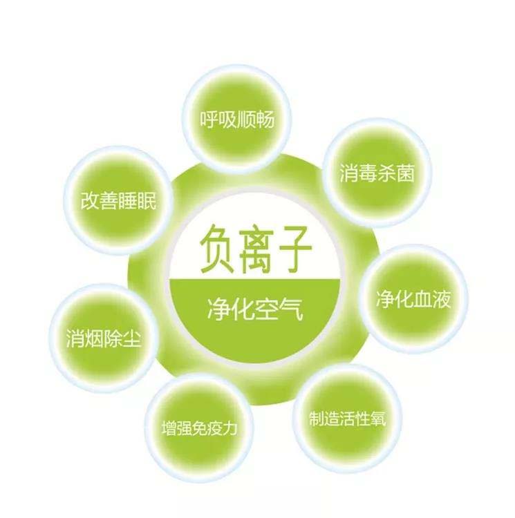 负离子净化空气