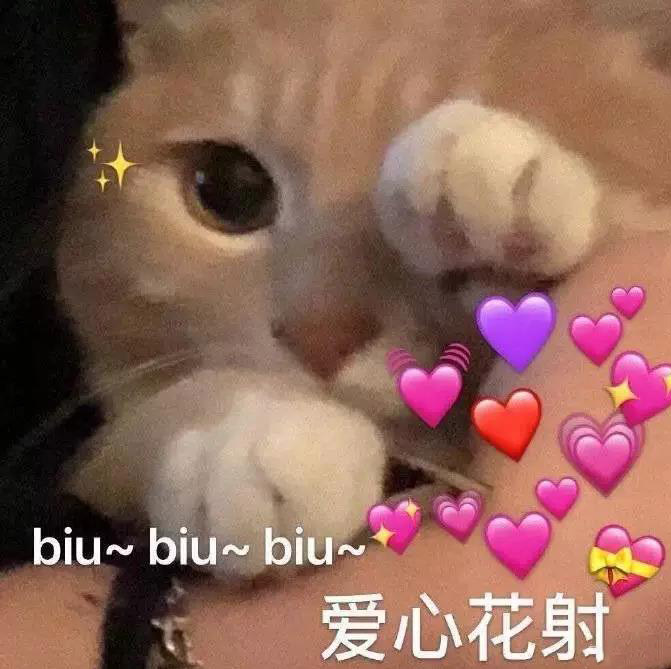 biu~biu爱心花射