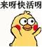 来呀快活呀